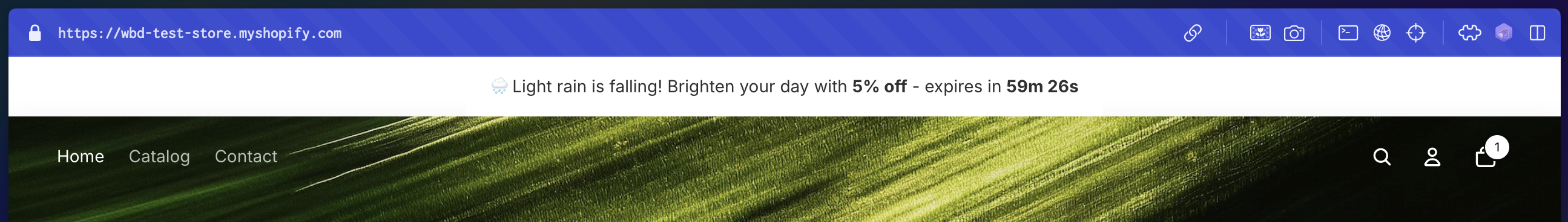 Weather discount banner example